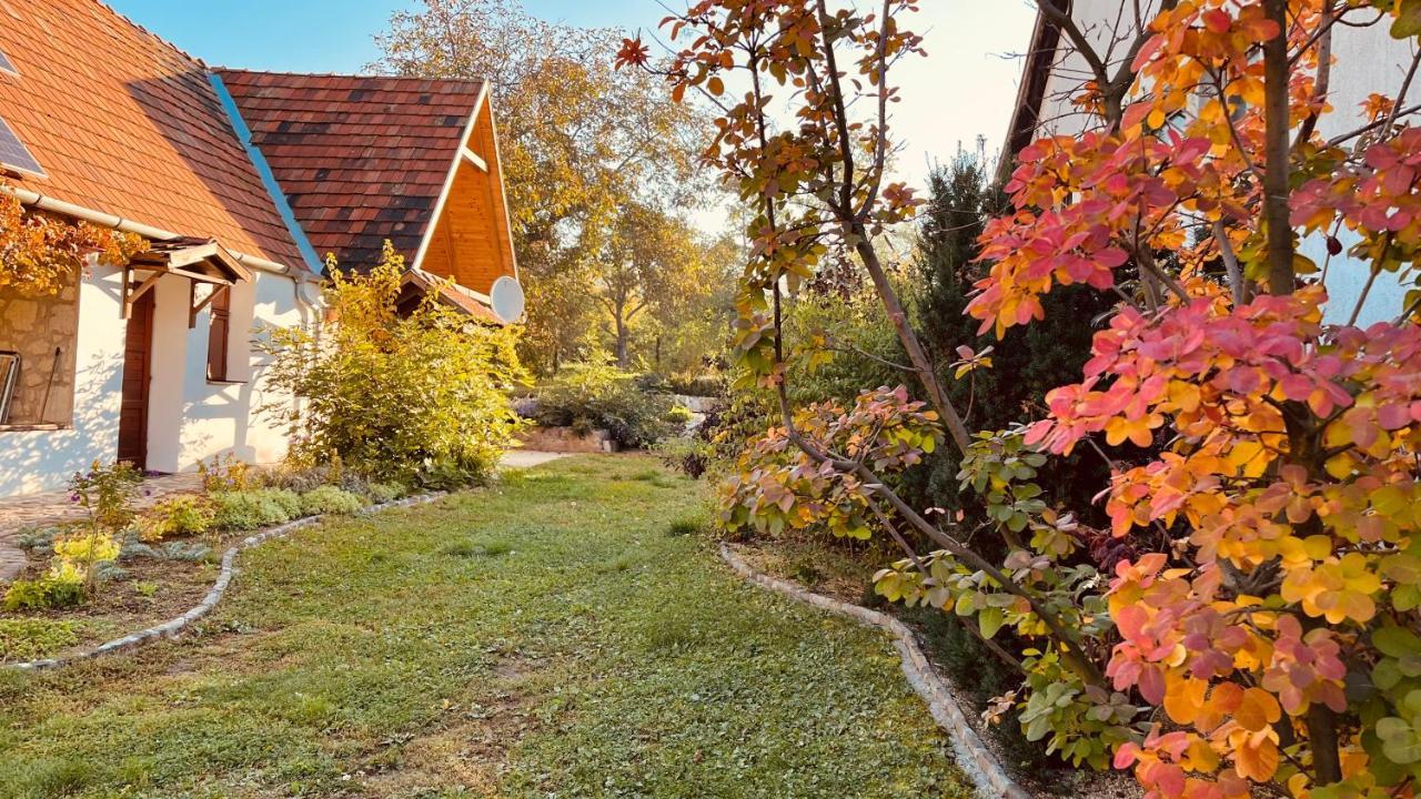 Vitamin B63 Vendeghaz Boldogkovaralja Exterior photo