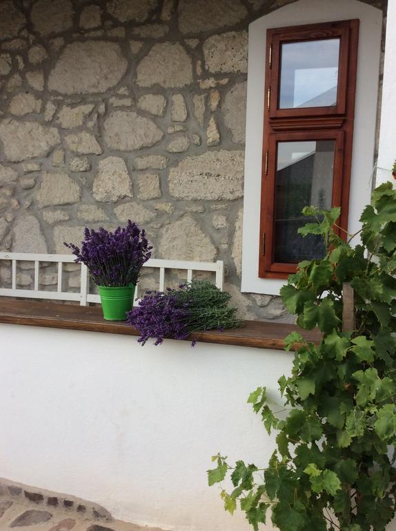 Vitamin B63 Vendeghaz Boldogkovaralja Exterior photo