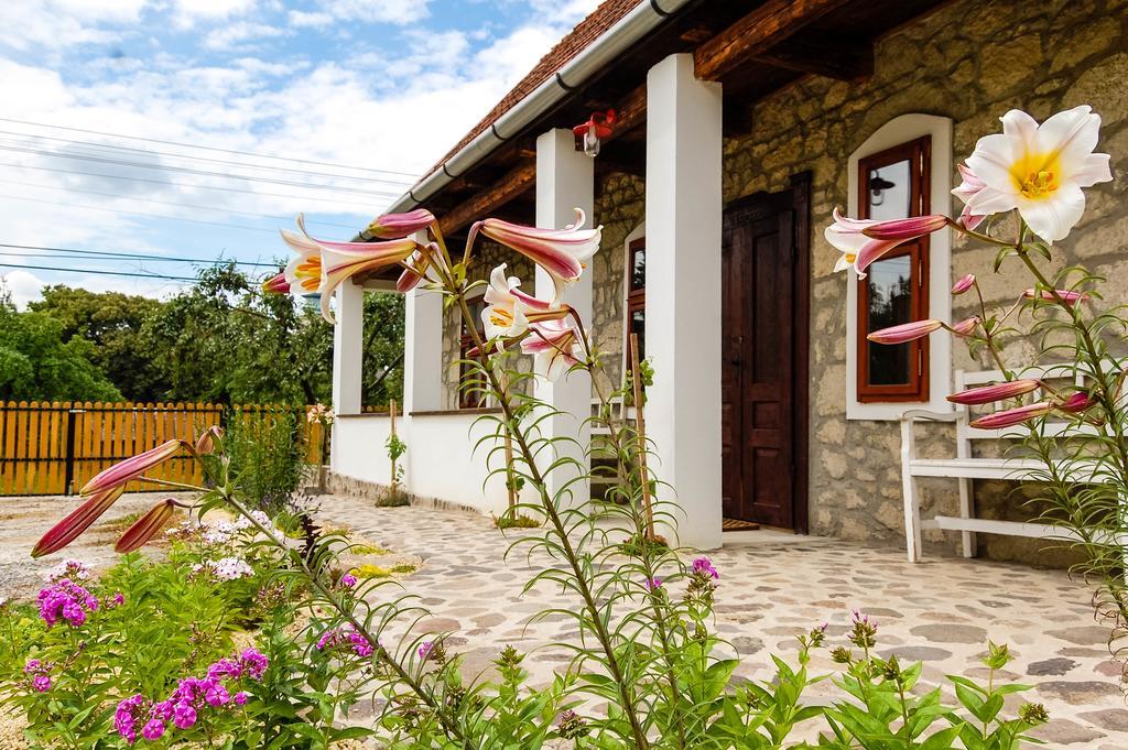 Vitamin B63 Vendeghaz Boldogkovaralja Exterior photo