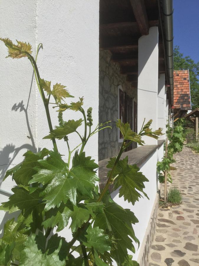 Vitamin B63 Vendeghaz Boldogkovaralja Exterior photo